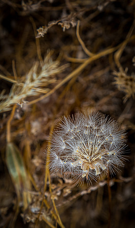Upper Table Rock 07/2019