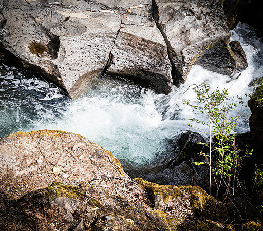 Rogue River Gorge 07/2019