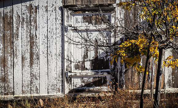 Oak Grove 11/11/23