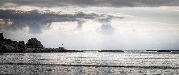 Coast Route 07/2019