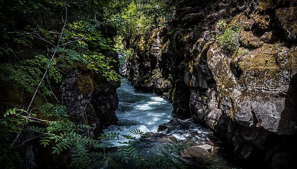 Rogue River Gorge 07/2019