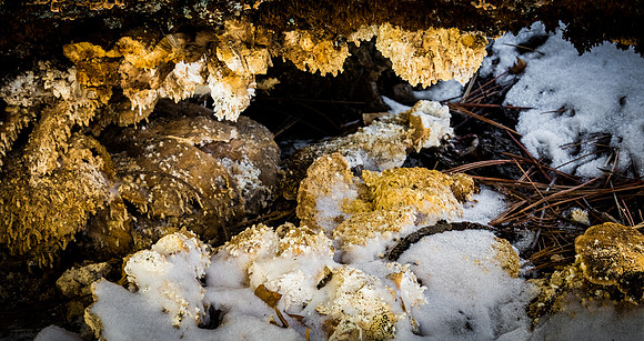 Mt Laguna 02/2019