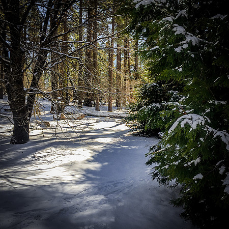 Mt Laguna 02/2019