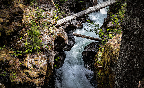 Rogue River Gorge 07/2019