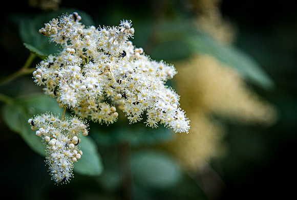 Ashland 07/2019