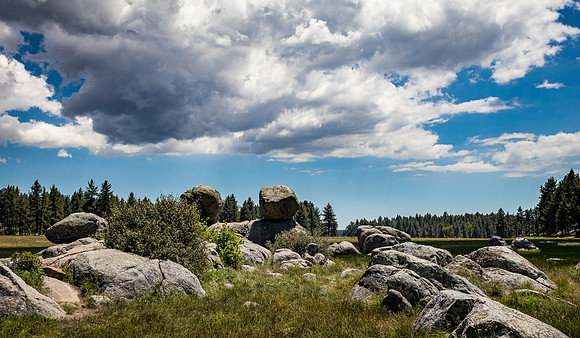 Laguna Meadows 05/2019