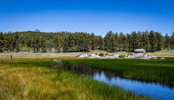 Laguna Meadows 05/2019