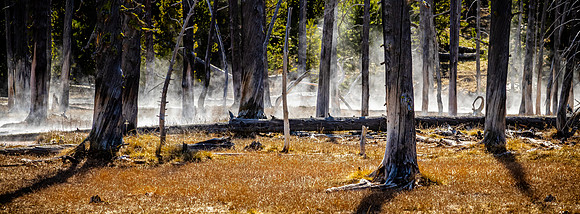Yellowstone 05/2021