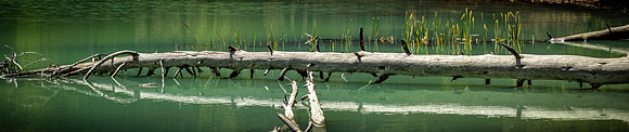 Yellowstone 05/2021