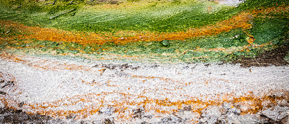 Yellowstone 05/2021