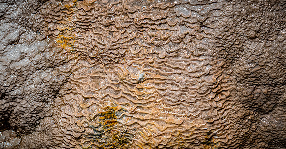 Yellowstone 05/2021