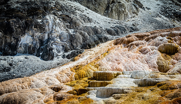 Yellowstone 05/2021
