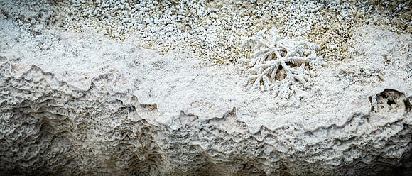 Yellowstone 05/2021