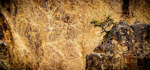 Yellowstone 05/2021
