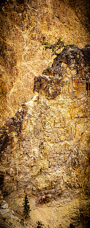 Yellowstone 05/2021