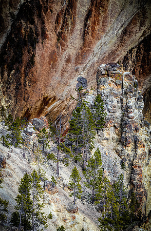 Yellowstone 05/2021