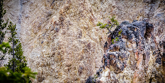 Yellowstone 05/2021