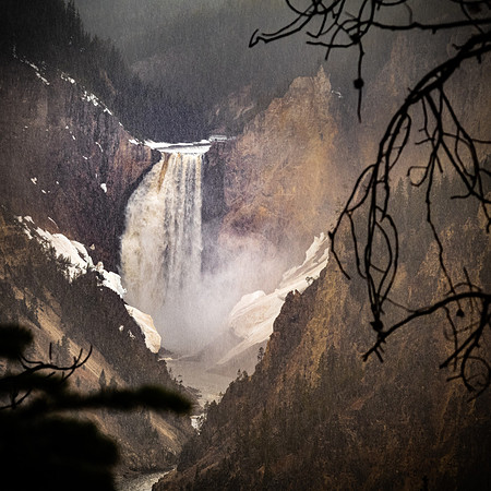 Yellowstone 05/2021