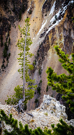 Yellowstone 05/2021