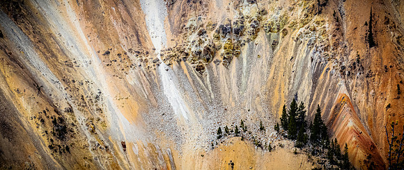 Yellowstone 05/2021