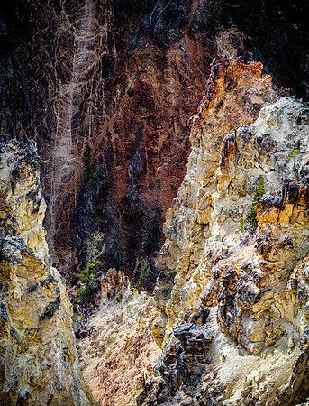 Yellowstone 05/2021