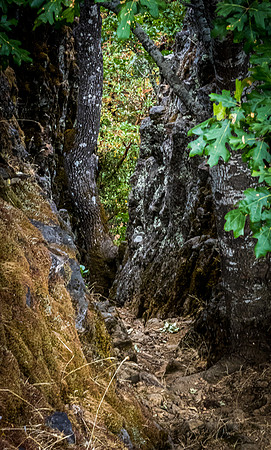 Upper Table Rock 07/2019
