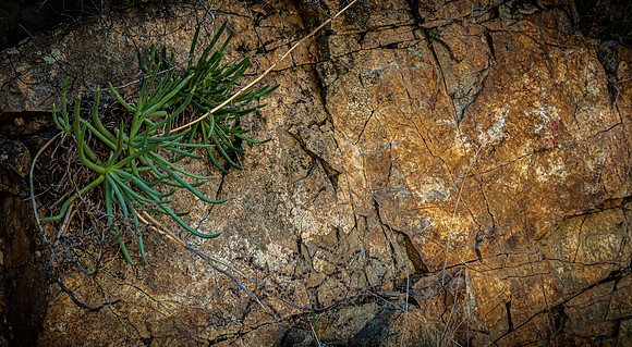 Mission Trails Regional Park 03/18/22
