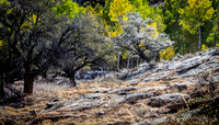 Lamoille Canyon, Nevada 09/2016