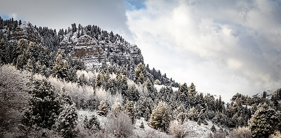 Logan, UT 11/2024