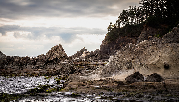 Coast Route 07/2019