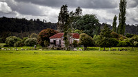 TranzAlpine Rail Journey