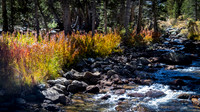 East Sierra 09/2016