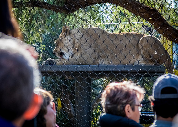 San Diego Zoo 12/27/19