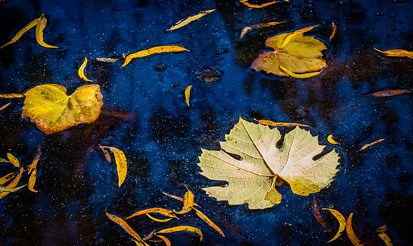 Mission Trails Regional Park 11/26/20