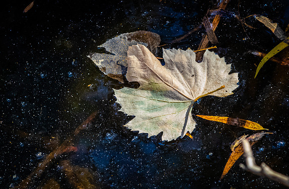 Mission Trails Regional Park 11/26/20