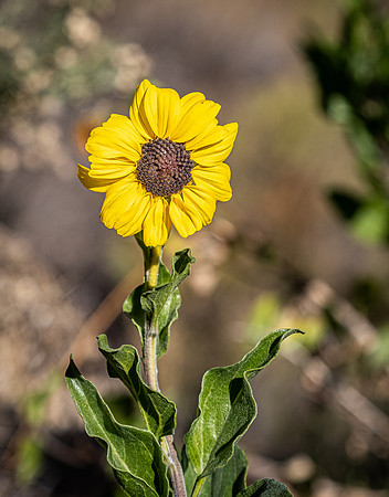 Mission Trails Regional Park 01/01/21