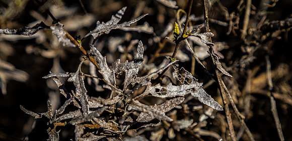 Mission Trails Regional Park 01/01/21