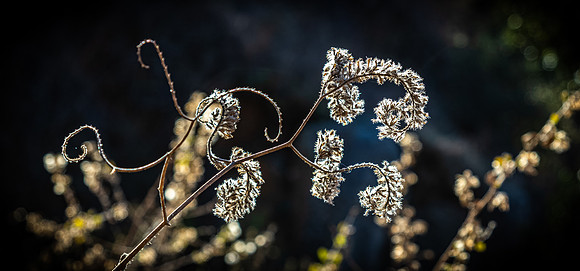 Mission Trails Regional Park 01/01/21