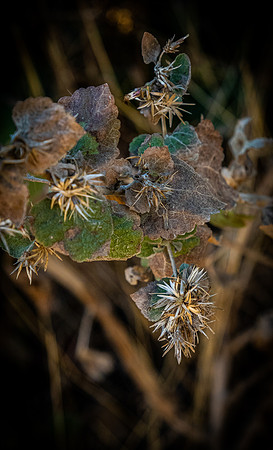 Mission Trails Regional Park 01/01/21