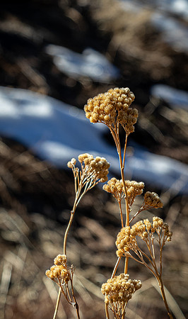 Laguna Meadows 02/23/21