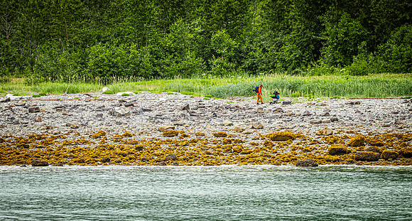 Glacier Bay
