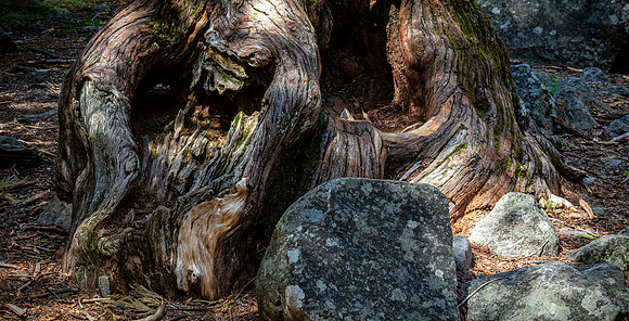 Yosemite 04/2025