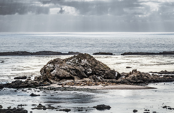 Coast Route 07/2019