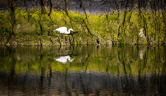 Smith River - Brookings 07/2019