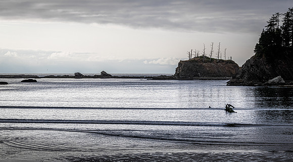 Coast Route 07/2019