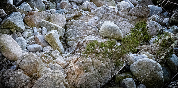 Pacific Grove - Central Coast 01/2025