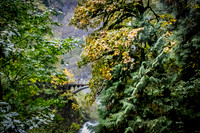 Oregon - Multnomah Falls 10/2016