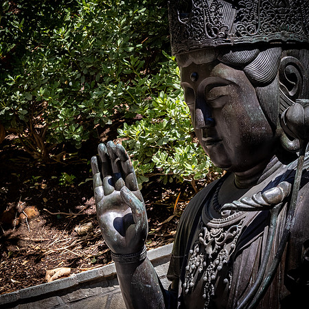 Japanese Friendship Garden 03/25/22
