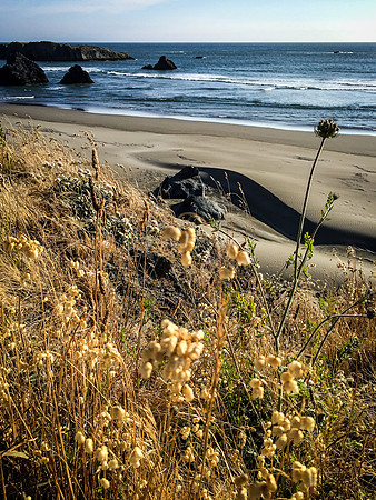 Coast Route 07/2019