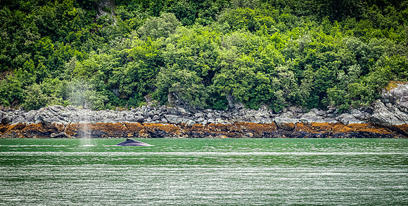 Glacier Bay